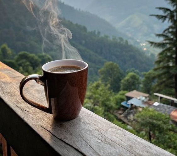 Coffe Trip Barang Dulins Travel Blog